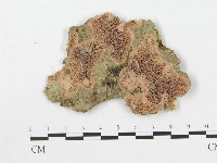 登錄號:F0007065藏品圖，第1張