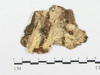 登錄號:F0007065藏品圖，第3張