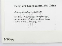 登錄號:F0007066藏品圖，第2張