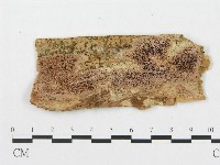 登錄號:F0007066藏品圖，第1張