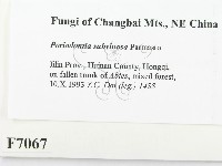 登錄號:F0007067藏品圖，第2張