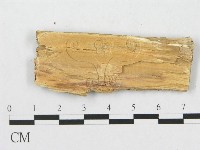 登錄號:F0007067藏品圖，第3張