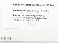 登錄號:F0007068藏品圖，第2張