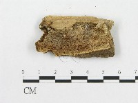 登錄號:F0007068藏品圖，第3張