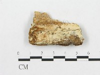 登錄號:F0007069藏品圖，第1張