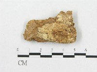 登錄號:F0007069藏品圖，第3張