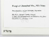 登錄號:F0007070藏品圖，第2張