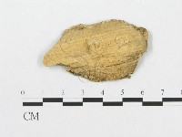 登錄號:F0007070藏品圖，第1張