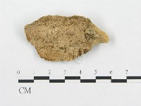 登錄號:F0007070藏品圖，第3張