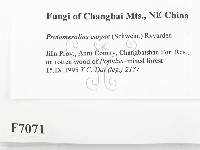 登錄號:F0007071藏品圖，第2張