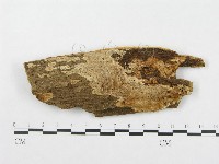 登錄號:F0007071藏品圖，第1張