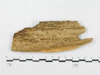 登錄號:F0007071藏品圖，第3張