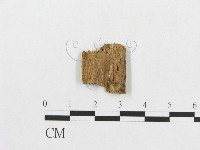 登錄號:F0007072藏品圖，第3張