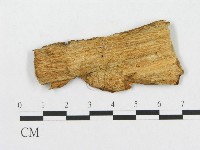 登錄號:F0007073藏品圖，第1張