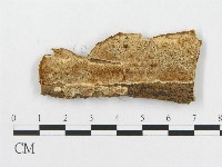 登錄號:F0007073藏品圖，第3張