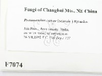 登錄號:F0007074藏品圖，第2張