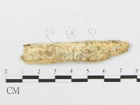 登錄號:F0007074藏品圖，第3張