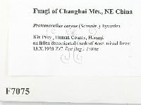 登錄號:F0007075藏品圖，第2張