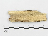 登錄號:F0007075藏品圖，第3張