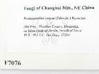 登錄號:F0007076藏品圖，第2張