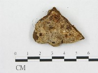 登錄號:F0007076藏品圖，第3張