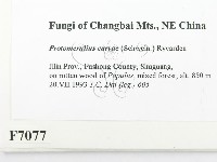 登錄號:F0007077藏品圖，第2張