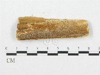 登錄號:F0007077藏品圖，第1張