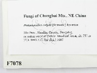 登錄號:F0007078藏品圖，第2張