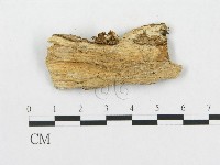 登錄號:F0007078藏品圖，第3張