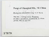 登錄號:F0007079藏品圖，第2張