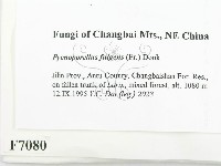 登錄號:F0007080藏品圖，第2張