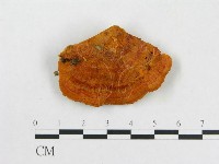 登錄號:F0007080藏品圖，第1張