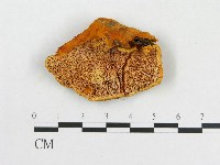 登錄號:F0007080藏品圖，第3張