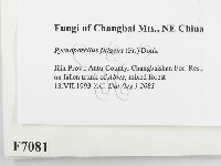 登錄號:F0007081藏品圖，第2張