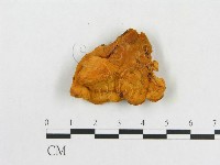 登錄號:F0007081藏品圖，第3張