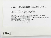 登錄號:F0007082藏品圖，第2張