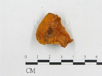 登錄號:F0007082藏品圖，第1張