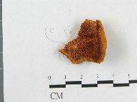 登錄號:F0007082藏品圖，第3張