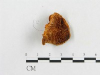 登錄號:F0007082藏品圖，第4張