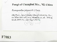 登錄號:F0007083藏品圖，第2張