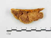 登錄號:F0007083藏品圖，第1張