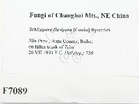 登錄號:F0007089藏品圖，第2張