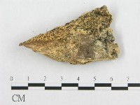 登錄號:F0007089藏品圖，第3張