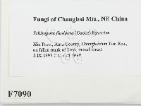 登錄號:F0007090藏品圖，第2張