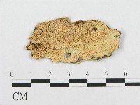 登錄號:F0007090藏品圖，第1張