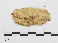 登錄號:F0007090藏品圖，第3張