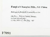 登錄號:F0007091藏品圖，第2張