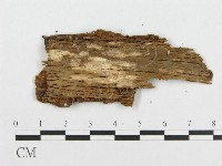 登錄號:F0007092藏品圖，第3張