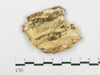 登錄號:F0007093藏品圖，第1張