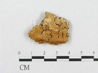 登錄號:F0007094藏品圖，第1張